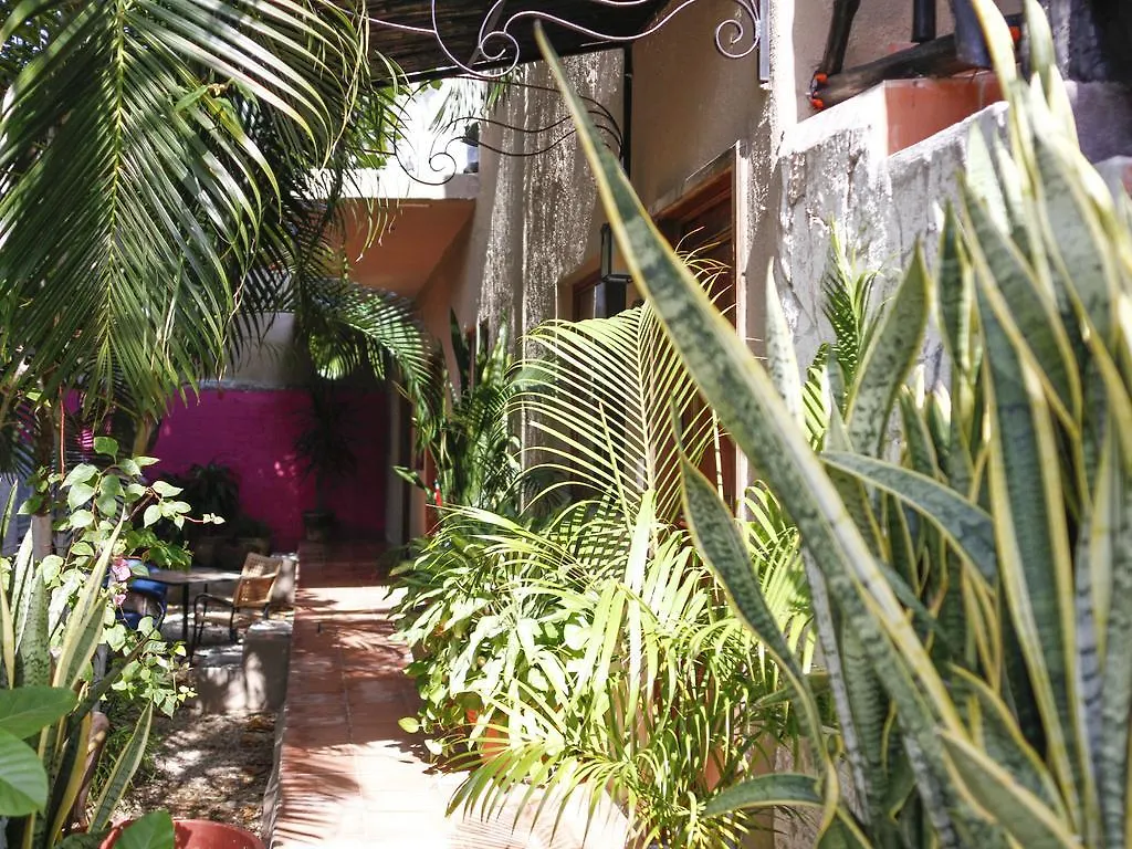 מלון פלאייה דל כרמן Villas Adela